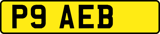 P9AEB