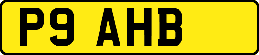 P9AHB
