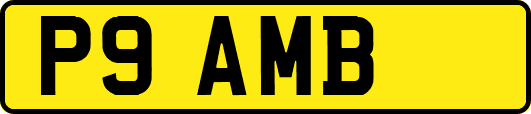 P9AMB