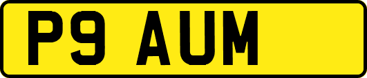 P9AUM