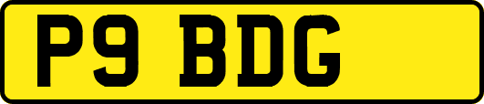 P9BDG