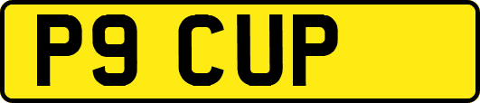 P9CUP