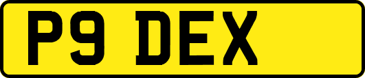 P9DEX
