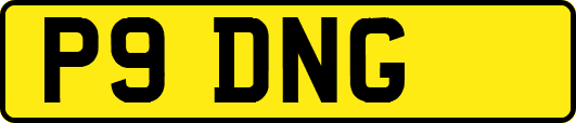 P9DNG