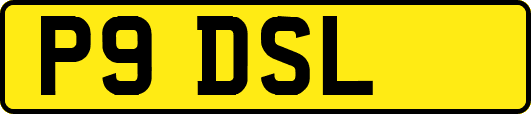 P9DSL