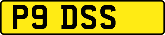 P9DSS