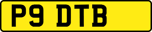 P9DTB