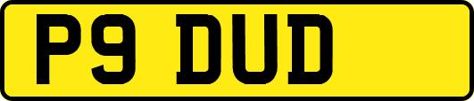 P9DUD
