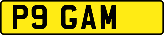 P9GAM