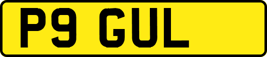 P9GUL