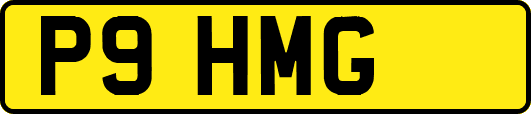 P9HMG