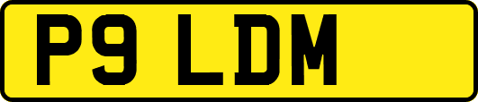 P9LDM