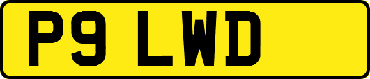 P9LWD