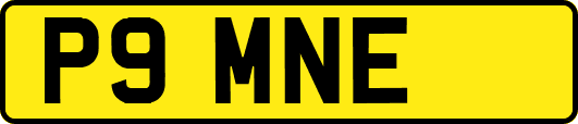 P9MNE