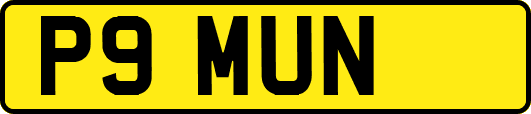 P9MUN