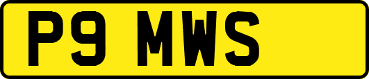 P9MWS