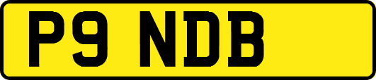 P9NDB