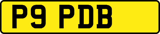 P9PDB