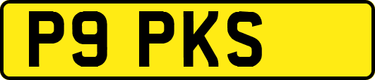 P9PKS