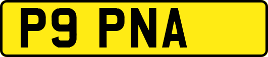 P9PNA