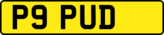 P9PUD