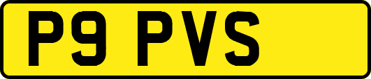 P9PVS