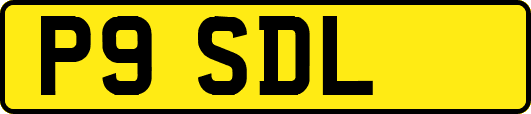 P9SDL