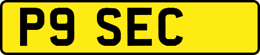 P9SEC