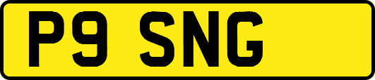 P9SNG