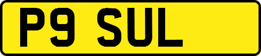 P9SUL