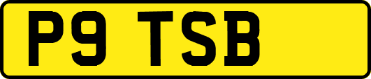 P9TSB