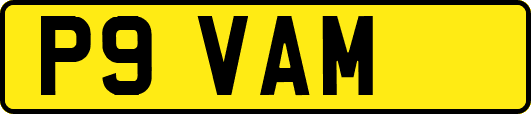 P9VAM