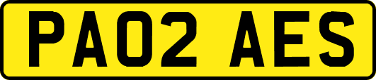 PA02AES