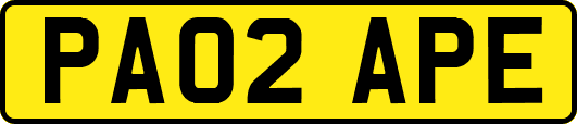 PA02APE