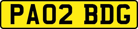PA02BDG