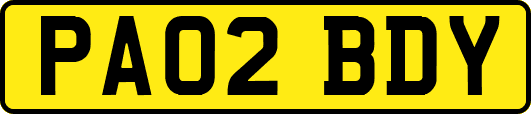 PA02BDY