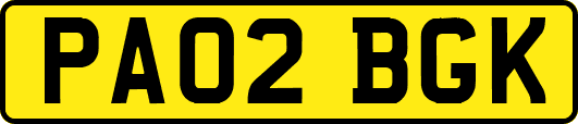 PA02BGK