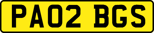PA02BGS