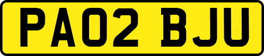 PA02BJU