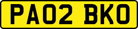 PA02BKO