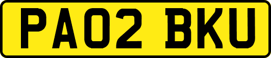 PA02BKU