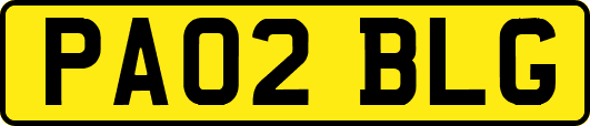 PA02BLG