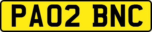 PA02BNC
