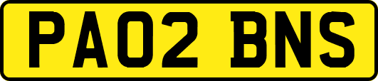 PA02BNS