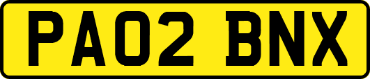 PA02BNX