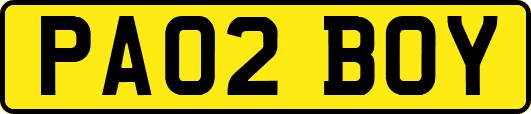 PA02BOY