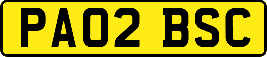 PA02BSC