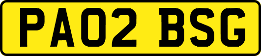 PA02BSG