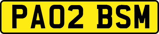 PA02BSM