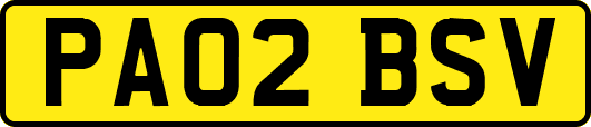 PA02BSV